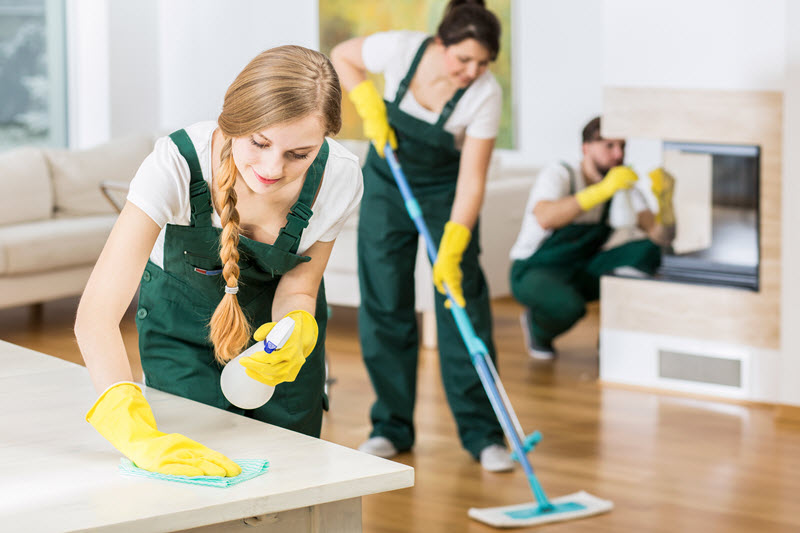 Lowden cleaning services

