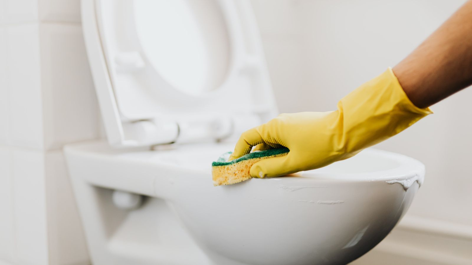 best house cleaning service in Walla Walla
